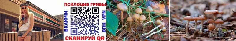 Галлюциногенные грибы MAGIC MUSHROOMS Чистополь